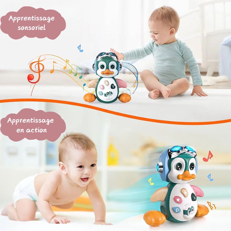 PingoShow™ |LE COMPAGNON PARFAIT D'ÉVEIL